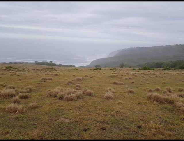 FARM FOR SALE IN HANSMOESKRAAL